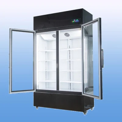자동 해동 기능이 있는 고품질 바 냉장고, 차가운 음료와 주스를 위한 이중 유리 도어가 있는 700L 수직 냉동고