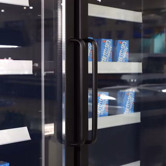 유리 도어 스탠드 디스플레이 냉동고 쿨러 디스플레이 냉장고